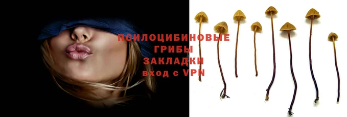 ешки Арсеньев