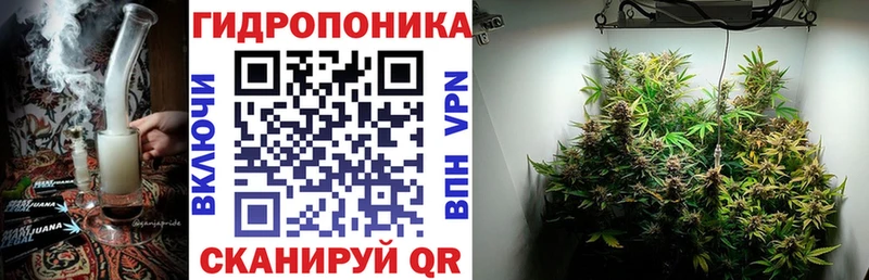 Марихуана THC 21% где можно купить Заозёрск